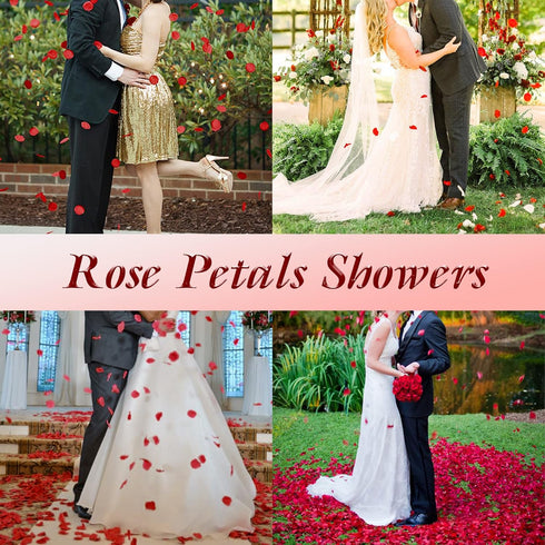 Childom 3000 Pcs Silk Rose Petals, Rose Flower Petals Decorations, Fake Rose Petals Roses Artificial Flowers Petals for Wedding, Valentines, Roman...