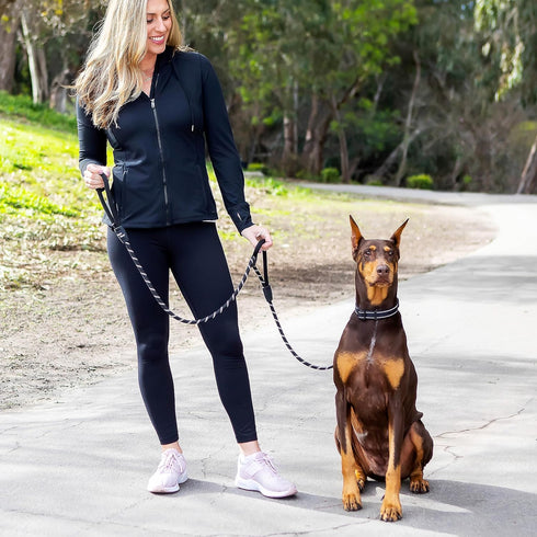 6 Foot Dog Leash, 2 Extra Padded Handles, Lockable Metal Carabiner Clip, Durable Silicone Clamps, Reflective No Pull Heavy Duty Rope Lead, Walking...