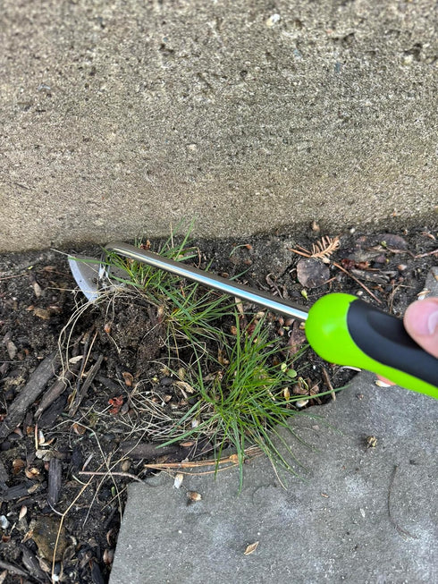 Garden Guru Root Weeder Tool with Ergonomic Handle - Stainless Steel Weed Puller for Planting, Weeding, Flower and Vegetable Care in Lawn Garden Y...