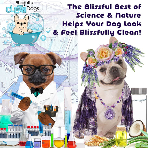 The Blissful Dog Drama Queen Luxury Dog Shampoo - Yorkshire Terrier, Nourishing Pet Supplies, Dog Grooming Supplies for Soft, Silky, Shiny Coat, M...