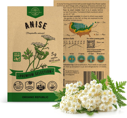 Anise Seeds Pack 5G - Over 1800 Non-GMO Heirloom Anise Seeds for Planting Herbs in Individual Seed Packet, Herbs Seeds for Planting Home Garden In...