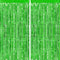 CHRORINE 2pcs 3ft x 8.3ft Green Tinsel Foil Fringe Curtains Streamers Backdrop for Green Birthday Jungle Safari Tropical Party Christmas Decoratio...
