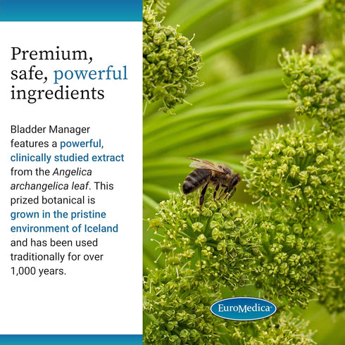 EuroMedica Bladder Manager - Bladder Support Supplement - Dietary Supplement with Angelica Leaf Extract - Vegan Capsules to Aid Urinary Tract Func...