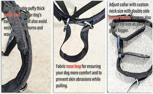 Dog Headcollar for Large Dogs (L), No-Pull Dog Collar for Large Dog. This No-Pull Dog Headcollar does not harm or hurt your dog and works better t...