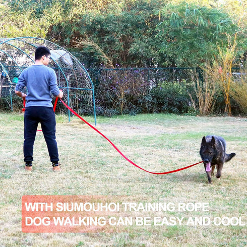 Dog/Puppy Obedience Recall Training Agility Lead- 15 ft 20 ft 30 ft 40 ft 50 ft Long Leash -for Training Leash, Play, Safety, Camping,or Backyard ...