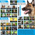 E Collar Replacement Strap - Shock Collar Replacement Collar, Fence Collar Replacement, Compatible with Pet Safe & Invisible Fence & Fits Most Pet...