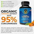 Vigorous NT Platinum Turmeric Supplement - 95% Curcuminoids - 60 Capsules...