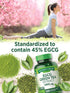 Nature's Truth Green Tea Extract Capsules | 1800mg | 120 Count | Standardized 45% EGCG | Non-GMO & Gluten Free Supplement...