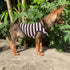 YQYS Dog Shirts Multi-color Striped Cotton Vest for Small Dogs and Cats Puppy Clothes Teacup Dog Clothing Tank Top for Chihuahua Miniature Pinsche...