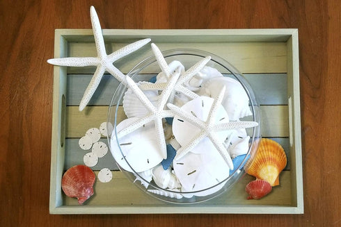 Tumbler Home Sand Dollars and Starfish for Crafts, 3 Real Starfish (4"-6") and 3 Sand Dollars (3"-3.5") in Bulk...