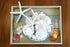 Tumbler Home Sand Dollars and Starfish for Crafts, 3 Real Starfish (4"-6") and 3 Sand Dollars (3"-3.5") in Bulk...