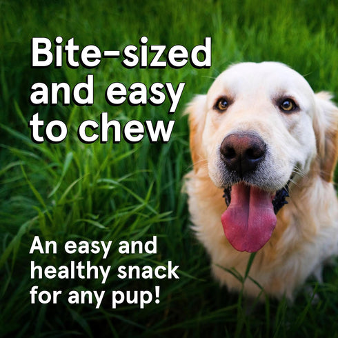 Real Meat Dog Treats - 4oz Bag of Bite-Sized Air-Dried Beef Jerky for Dogs - Grain-Free Jerky Dog Treats Made up of 95% Human-Grade, Free-Range, G...