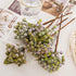 8 Bundles of 11.4" Artificial Berry Stems Floral Sprays Berry Fruit Picks for Home Décor Office Restaurant Wedding Garden Patio Shop Window Photog...
