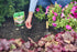 Miracle-Gro Quick Start Planting Tablets...