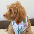 BARKLOOM Dog Bandana - Arizona Detour Set - Black & White Dog Outfit with Adventure & Cactus Themes - Elegant Dog Accessories for Your Beloved Pet...
