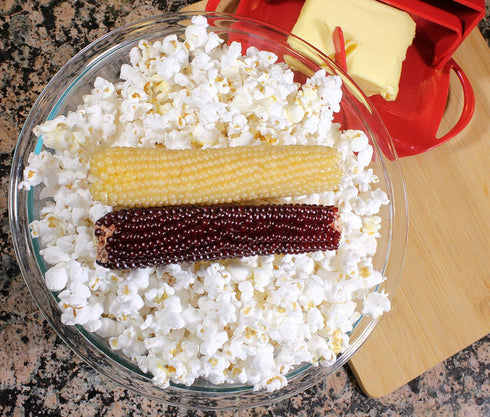 Amish Country Popcorn | Old Fashioned Microwave Popcorn | Non-GMO, Gluten Free, Microwaveable and Kosher (White & Red Corn on the Cob, 2 Pack)...