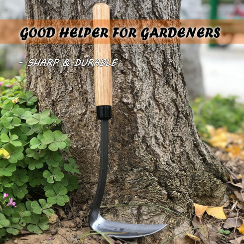 SHANFEEK Japanese Weeding Sickle Hoe Gardening Tools 13-Inch Weed Remover Tool High-Carbon Steel One-Piece Molding with Hard Solid Wood Handle(Sna...