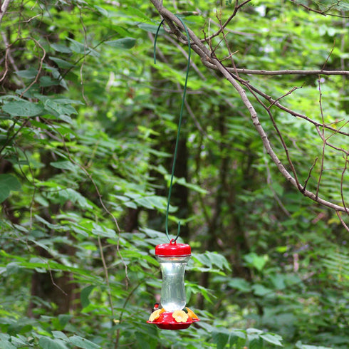 Perky-Pet 131TF 16-Ounce Glass Top Fill Hummingbird Feeder, Red...