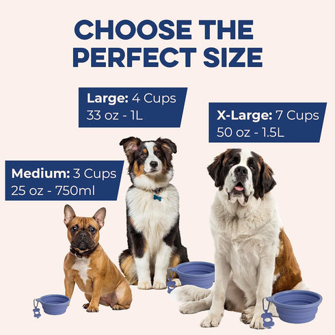 Large Collapsible Dog Bowl 1000 mL, Sturdy Reinforced Rim, includes Carabiner & Water Bottle Holder Keychain, Black...