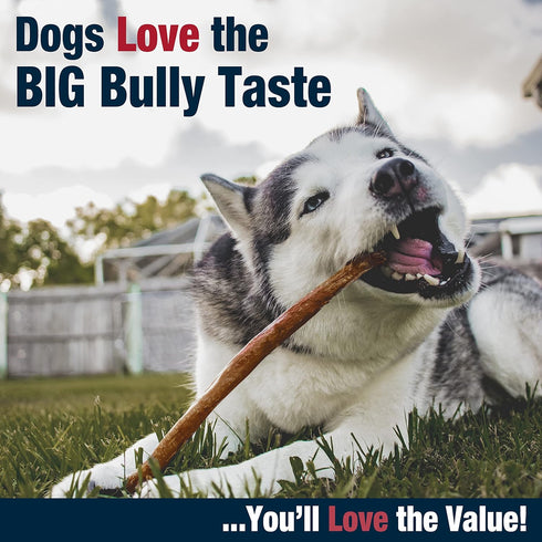 Cadet Bully Hide Sticks for Large Dogs – All-Natural Beef Pizzle, High Protein, Low Fat, Long-Lasting, Grain & Rawhide-Free Dog Chews for Aggressi...