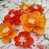 Crepe Paper Flowers for Birthday Party Floral Backdrop Nursery Room Decoration Pack of 6 (Oranges)...