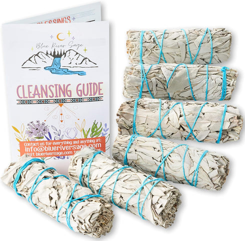 6 Pack White Sage ~ Sage Smudge Sticks for Smudging & Cleansing Energy ~ Bulk/Wholesale ~ Sustainably Grown (6 Pack)...