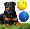 MISHMASH Vision Dog Ball made with Premium Bite-Proof ETPU, Aggressive Chewers Waterproof Bouncy Interactive Dog Toy, Durable Tennis Ball for Medi...