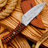 Predator 9" Damascus Steel Fixed Blade Hunting Knives Skinning Knife For Outdoor Camping Skinner Bushcraft Knives with Ergonomic EDC Exotic Wood H...