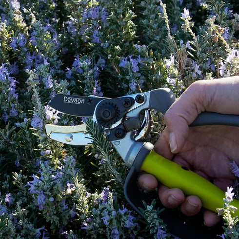 Davaon Pro Anvil Pruning Shears for Gardening - Achieve 30% More with Less Effort with These Premium Garden Pruners, Plant Shears for Razor-Sharp ...