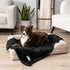 PetAmi Dog Blanket for Small Dogs Black, Fluffy Soft Puppy Blanket, Sherpa Fleece Cat Blanket for Kitten Doggie, Calming Pet Blanket Throw for Cou...