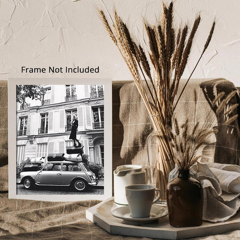 Posterizer 1 pcs-black and white photograph of humourous luxury shoping woman 2-Photography Art Gift for Women, Fashionistas, Designer Fashion Fa...