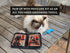 Foldable Grooming Comb for Dogs, Cats, and Horses: Demat and Detangle Comb, Remove Loose Fur or Loose Hair, Smooths Mats and Tangles, Great for On...