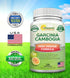 100% Pure Garcinia Cambogia Extract - 120 Capsules, Ultra High Strength HCA, Natural Weight Loss Diet Pills XT, Best Extreme Fat Burner Slim & Det...