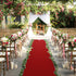 LEMONSODA Red Carpet Runner for Party, 2x15ft, 70GSM, Hollywood Red Carpet Roll Out for Special Event, Graduation Party, Runway Rug for Wedding, A...