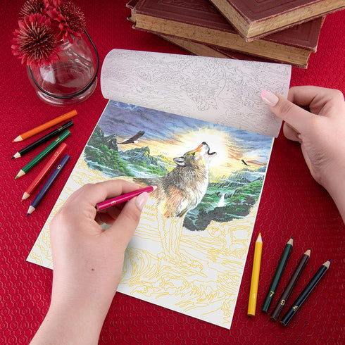 Royal & Langnickel Color Pencil by Number Kit 8.75"X11.75" - Wolf at Night...