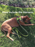 Reflective Dog Leash .Pet Leash for Medium to Large Dogs Outdoor Adventure and Training...