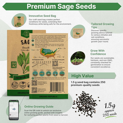 Sage Seeds Pack 1.5 G - Over 250 Non-GMO Heirloom Sage Seeds for Planting Herbs in Individual Seed Packet, Herbs Seeds for Planting Home Garden In...
