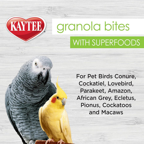 Kaytee Granola Bites with Super Foods Spinach and Kale for Pet Birds, Conure, Cockatiel, Lovebird, Parakeet, Amazon, African Grey, Ecletus, Pionus...