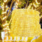 LED Rope Lights Outdoor, 108 LEDs 16Ft Connectable and Flexible Strip Lights, 110V Plug Waterproof Classic Tube Lights for Indoor Tree Patio Garde...