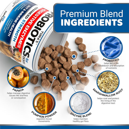 Probiotics for Dogs and Digestive Enzymes - 170 Dog Probiotics Chews - Dog Probiotic - Anti Diarrhea, Upset Stomach & Gas Relief, Constipation, Ca...