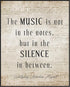 Posterizer 1 pcs-Music Is Not in the Notes-Mozart-Musical Art Collection-Gift for Music Fans-Decor for Home & Office- unframed wall art...