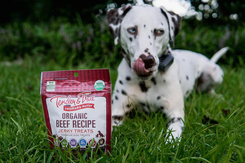 Tender & True Pet Nutrition Organic Beef Jerky Treats (71005)...