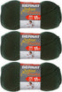 Bernat Softee Chunky Yarn Bundle Super Bulky #6, 3 Skeins Dark Green 28237...