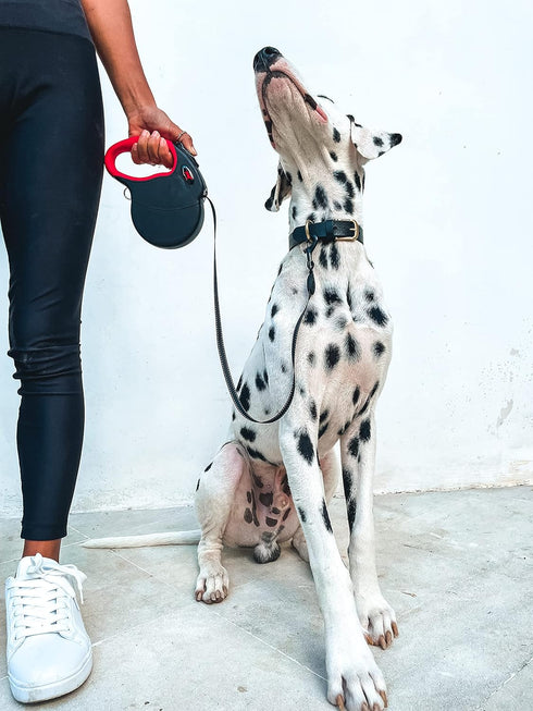 Tuff Pupper Heavy Duty Retractable Dog Leash | 16 ft Dog Leash with Reflective Stitching for Nighttime Safety | One Button Lock and Release | Comf...