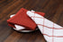 AMOUR INFINI Cotton Kitchen Dish Cloths Set of 8 – Highly Absorbent, Super Soft Premium Terry Cleaning Cloth (12"x12" Inch) Premium Dishcloths for...