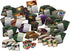 Eldritch Horror Forsaken Lore Board Game EXPANSION | Mystery Game | Cooperative Board Game for Adults and Family | Ages 14+ | 1-8 Players | Avg. P...
