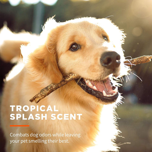 Wet Ones for Pets Multi-Purpose Dog Wipes With Aloe Vera | Dog Wipes For All Dogs in Tropical Splash, Wet Ones Wipes for Paws & All Purpose | 50 C...