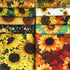 10Pcs 25 x 25cm Sunflower Cotton Fabric Patchwork Printed Patterns Quilting Fabric Sewing Patchwork Precut Fabric for DIY Artcraft...