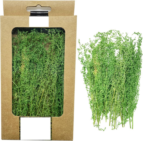 Cayway Miniature Shrubs Model Bushes Long Shrub Vegetation Groups Static Grass Tuft for DIY Model Train Landscape Railroad Scenery, Grass green...