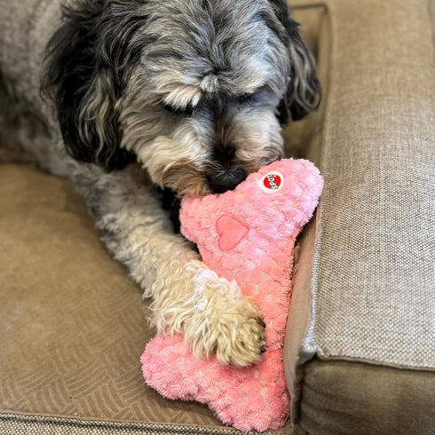 SPOT Soothers Warm Hug Bone - Calming Plush Dog Toy with Lavender Scented Beads, Removable Squeaker, Microwavable Warming Pouch, Separation Anxiet...
